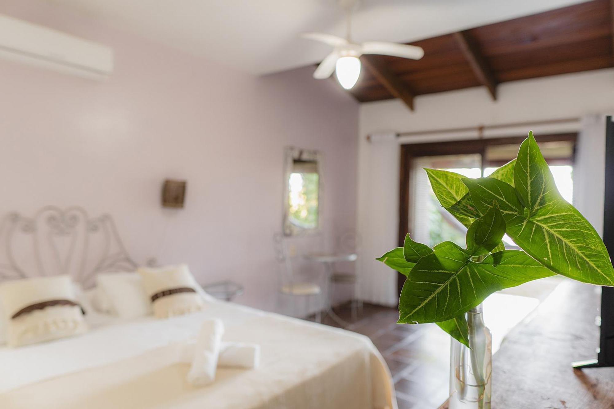 Pousada Villa Agrifoglio Praia do Rosa Εξωτερικό φωτογραφία